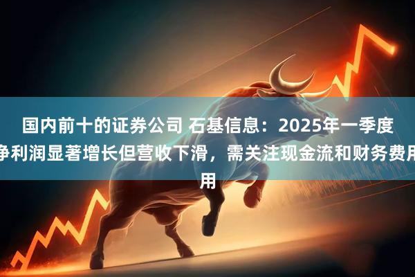 国内前十的证券公司 石基信息：2025年一季度净利润显著增长但营收下滑，需关注现金流和财务费用